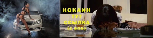спиды Майский