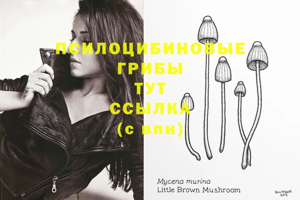 спиды Майский